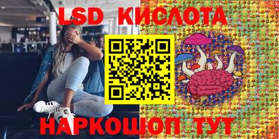 гашик Кохма