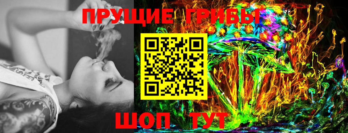 Лесной  Галлюциногенные грибы Psilocybine cubensis  Вход с VPN 