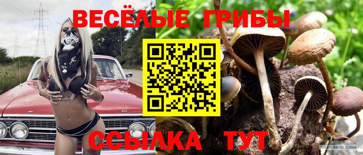 ГАШ  Вход с VPN  Лесной  Канабис  ГАШИШ  Меф кристаллы  COCAIN  APVP СК  